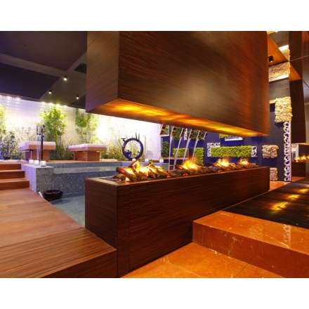 Электрокамин Dimplex Cassette L в Гродно