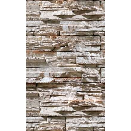 Фиброцементная плита Фаспан Дикий камень №1007 Вертикаль (1200х800х8 мм) купить в Гродно