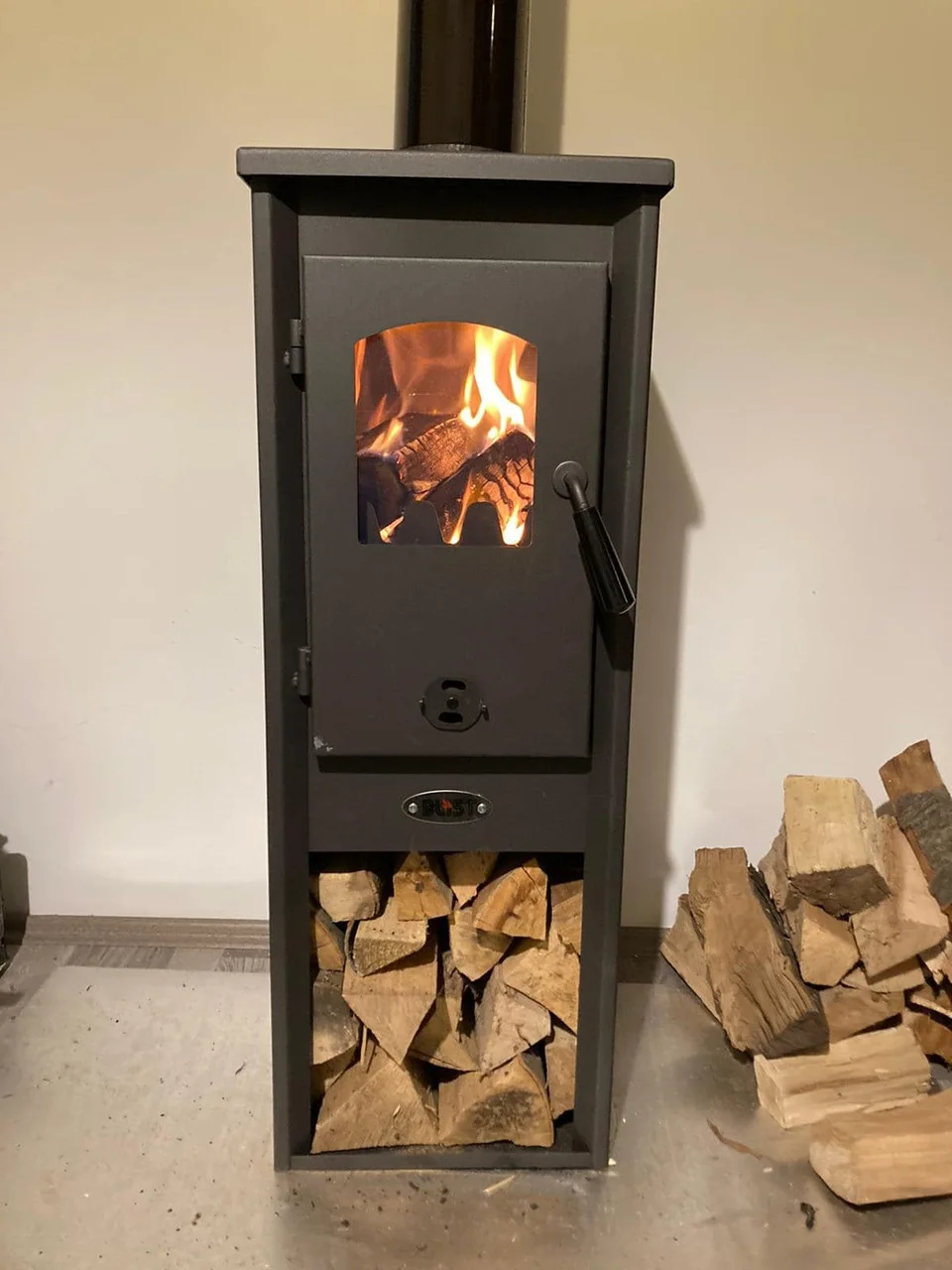 Печь-камин Blist Ekonomik Lux LM N стальная дверца Амазонка бай фото в Гродно