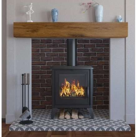 Купить чугунный Печь-камин EVEREST S10 в Гродно в Гродно