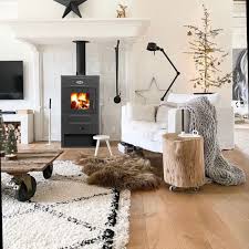 Печь-камин Blist B 2 Амазонка бай фото в Гродно