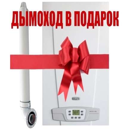 Газовый котел Baxi ECO 4S 1.24F в Гродно