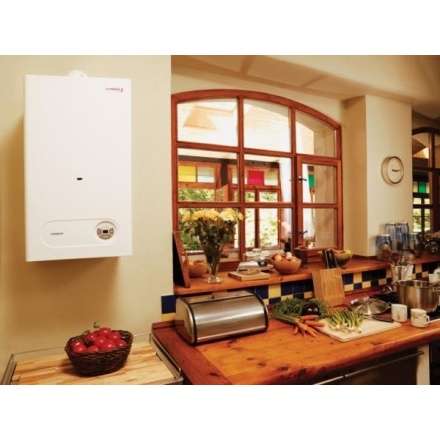 Газовый котел Protherm Тигр 24 KTZ в Гродно