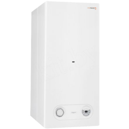 Газовый котел Protherm Тигр 24 KTZ купить в Гродно